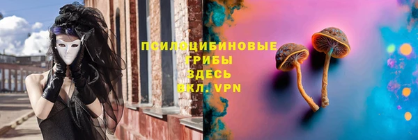 дурь Аркадак