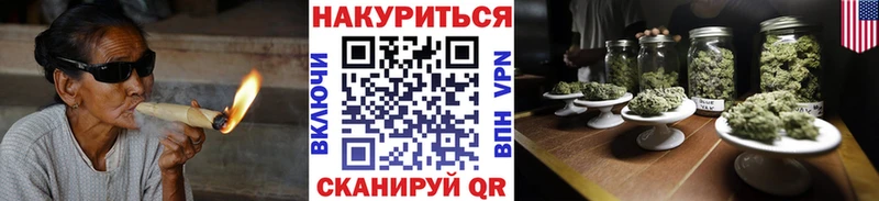 Шишки марихуана Bruce Banner  продажа наркотиков  Пудож 